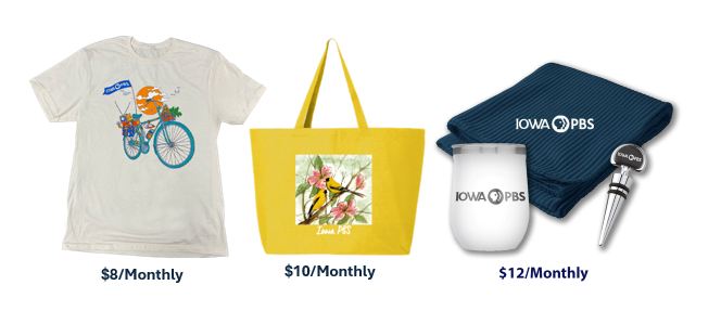 Iowa PBS Passport TY Gifts