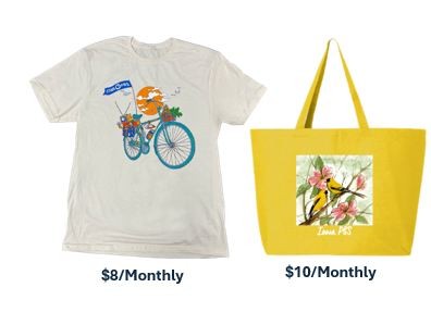 Iowa PBS Passport TY Gifts